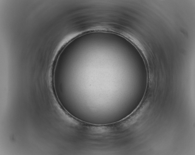 X0000112051045200908111345