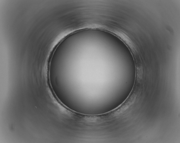 X0000112051046200908111345