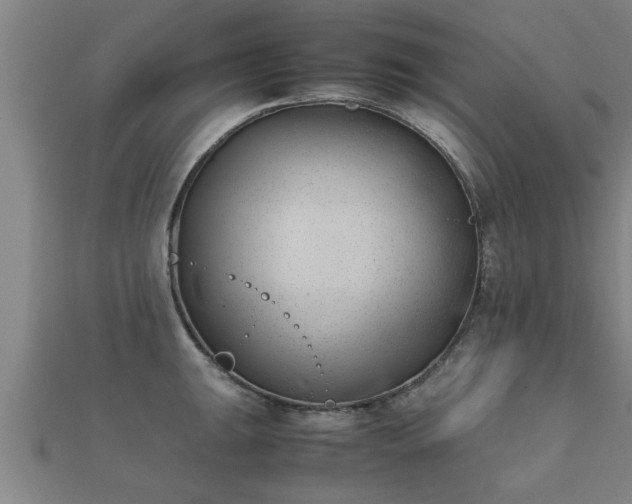 X0000112051047200908111345