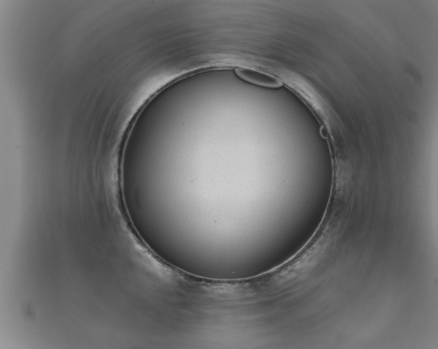 X0000112051048200908111345