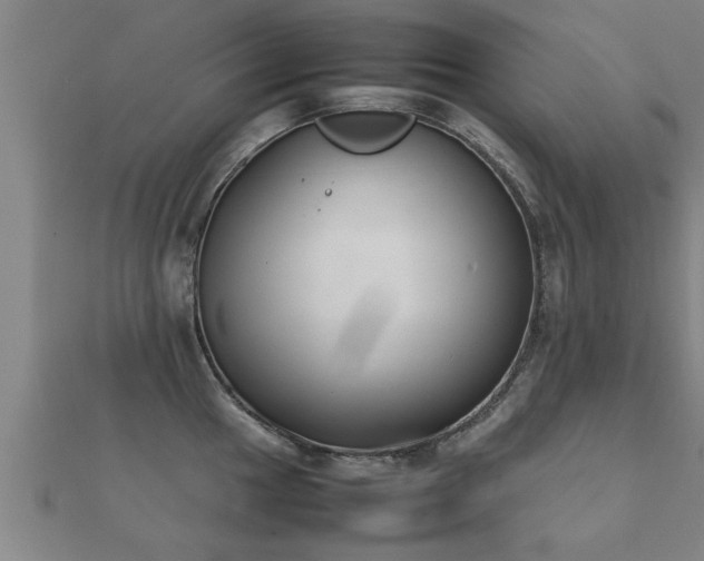 X0000112051049200908111345