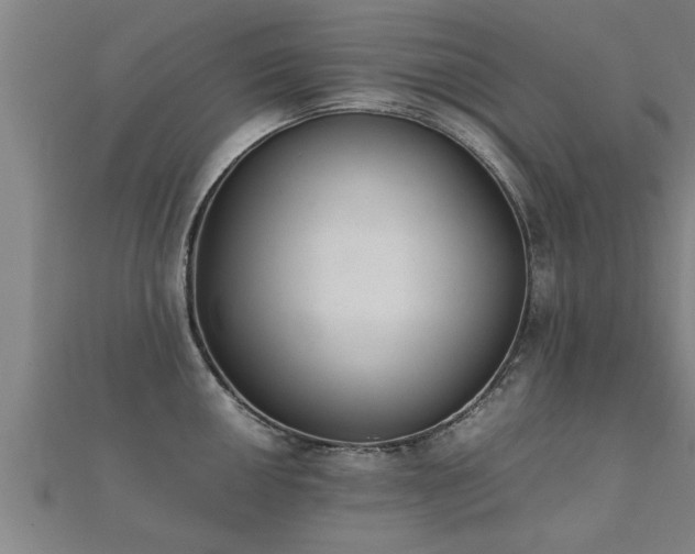 X0000112051050200908111345