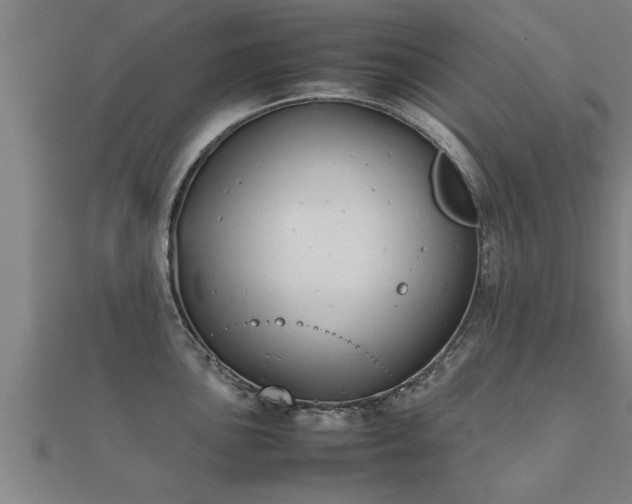 X0000112051051200908111345