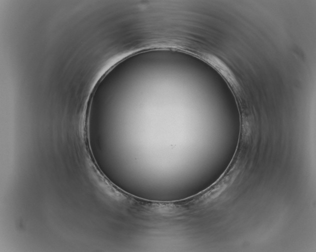 X0000112051052200908111345