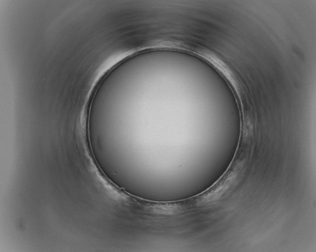 X0000112051053200908111345