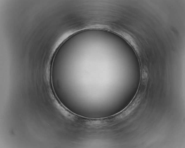 X0000112051054200908111345