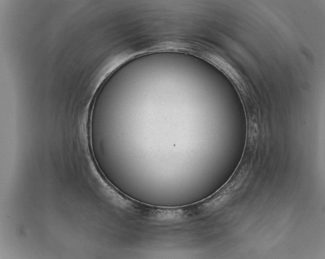 X0000112051055200908111345