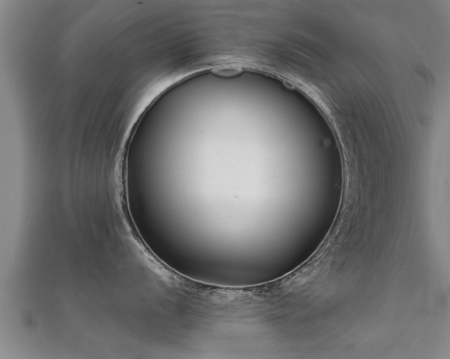 X0000112051056200908111345