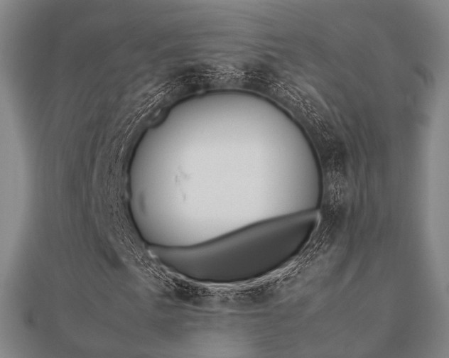 X0000112051057200908111345