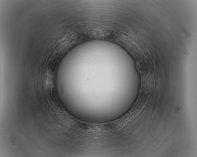 X0000112051058200908111345