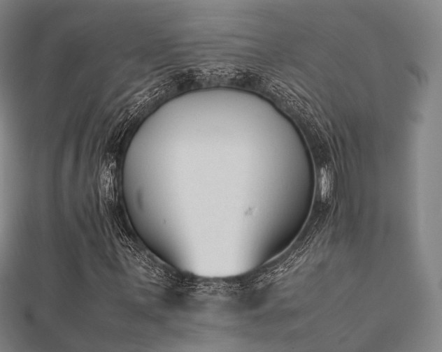 X0000112051059200908111345