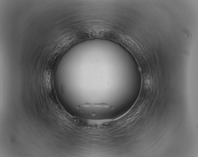 X0000112051060200908111345