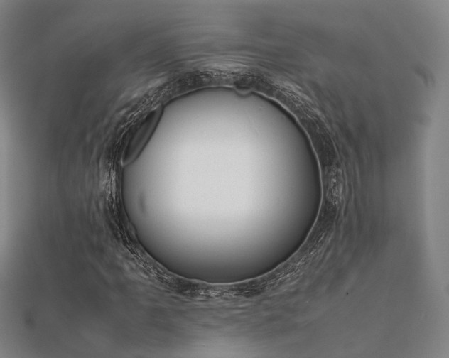 X0000112051061200908111345