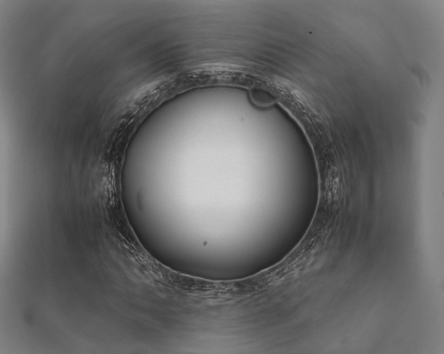 X0000112051062200908111345