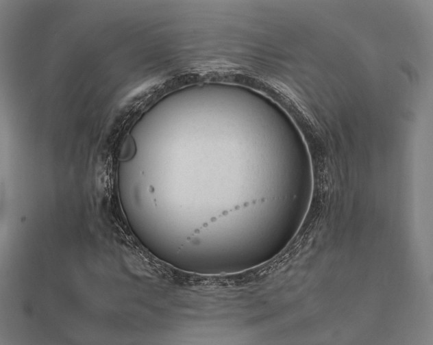 X0000112051063200908111345