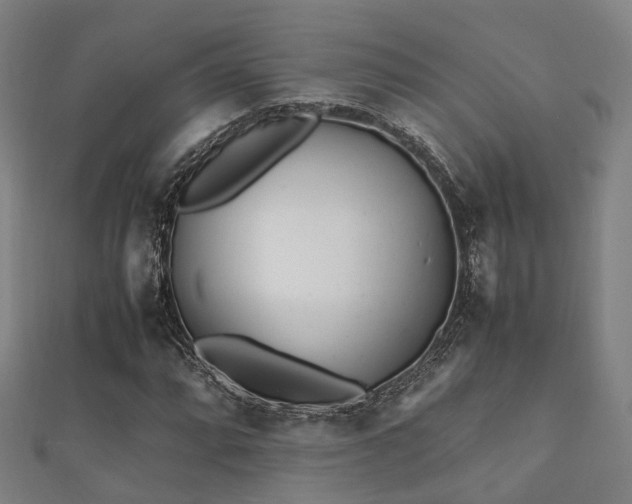 X0000112051064200908111345