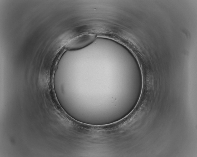 X0000112051065200908111345