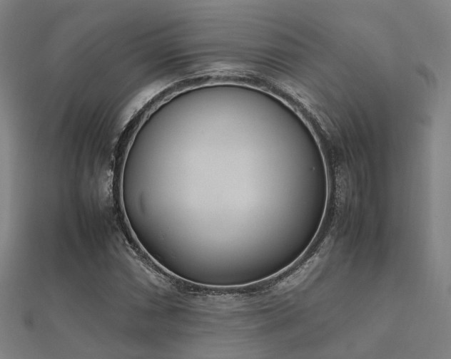 X0000112051066200908111345