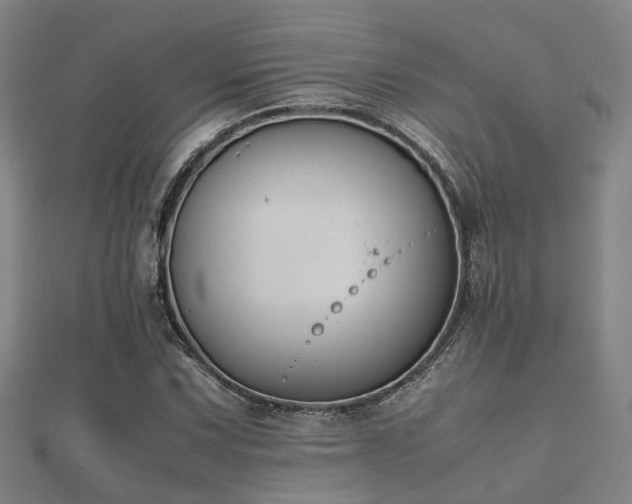 X0000112051067200908111345