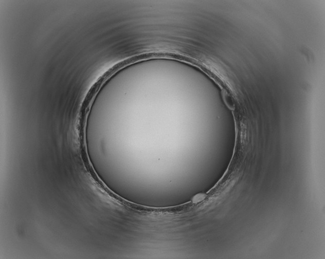 X0000112051068200908111344