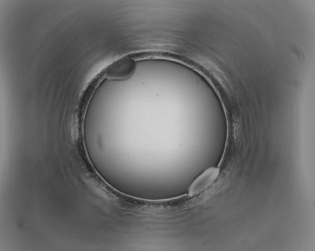 X0000112051069200908111344