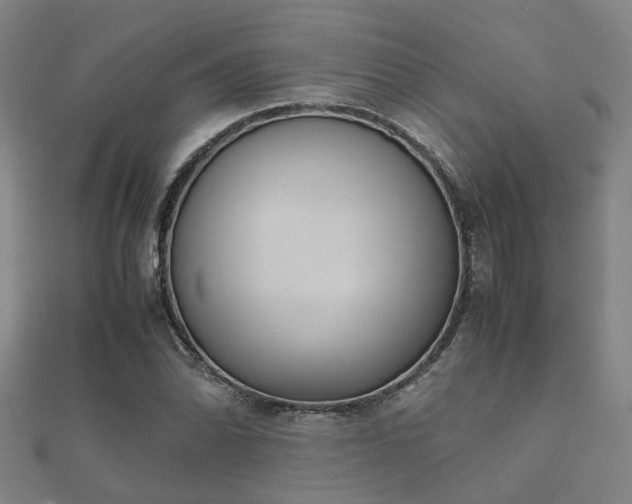 X0000112051070200908111344