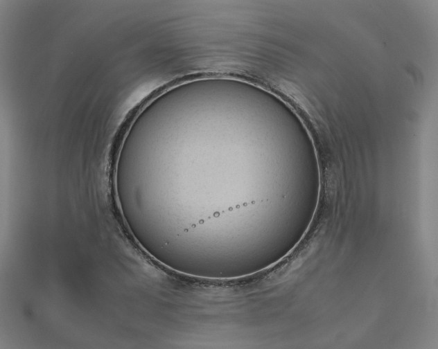 X0000112051071200908111344