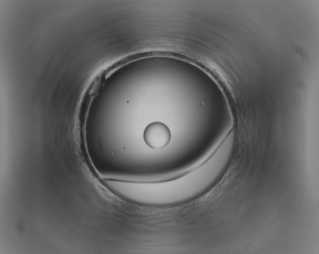 X0000112051072200908111344