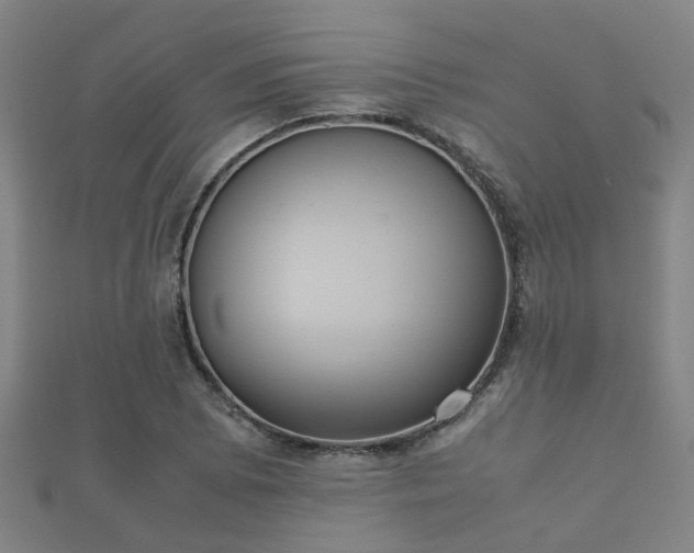 X0000112051073200908111344