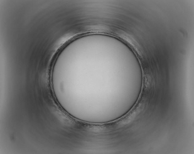 X0000112051074200908111344