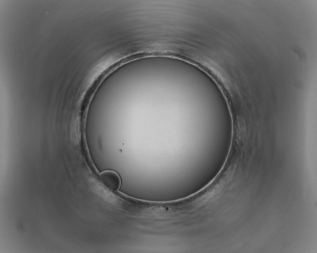 X0000112051075200908111344