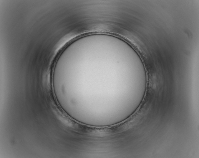 X0000112051078200908111344