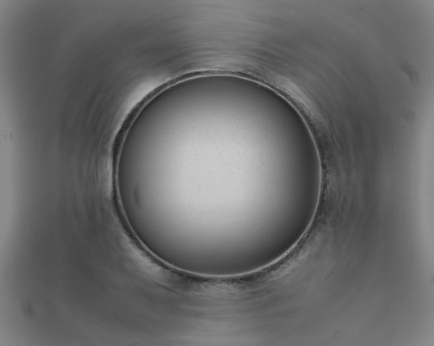 X0000112051079200908111344