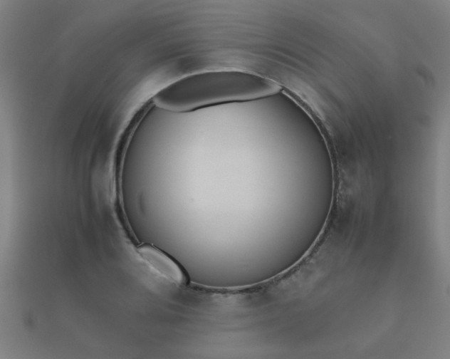 X0000112051080200908111344