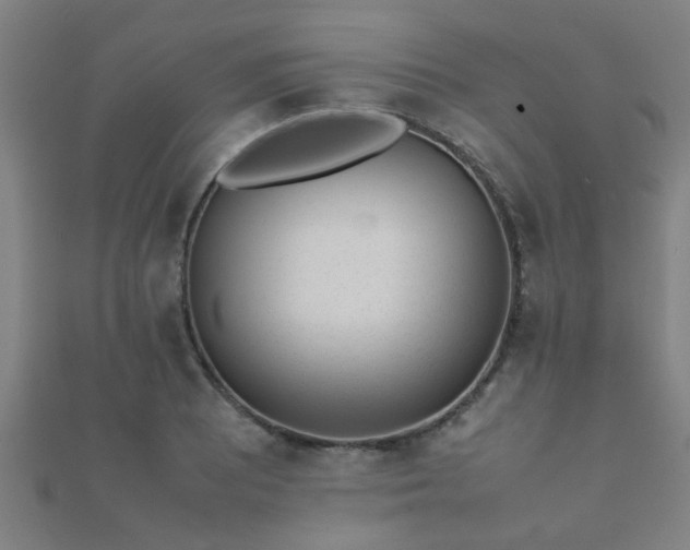 X0000112051081200908111344