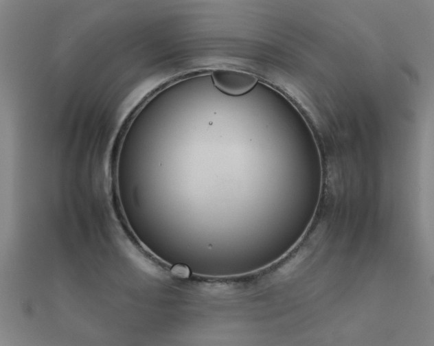 X0000112051082200908111344