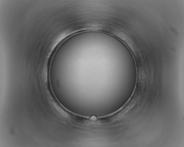 X0000112051083200908111344