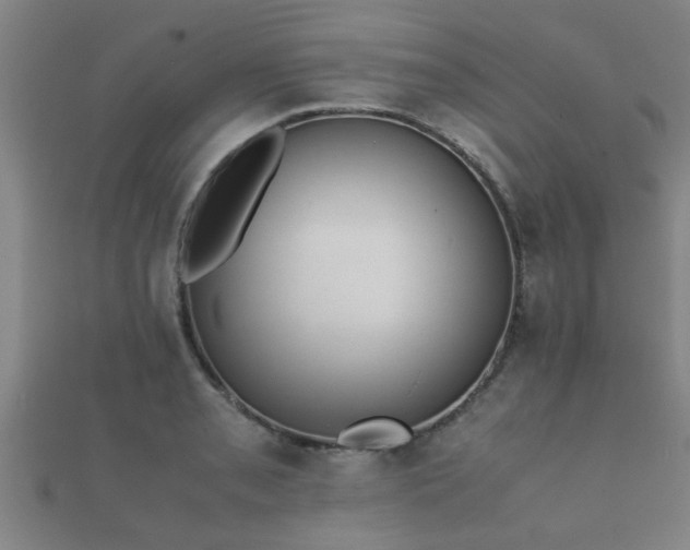 X0000112051085200908111344