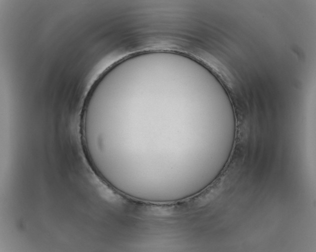 X0000112051086200908111344