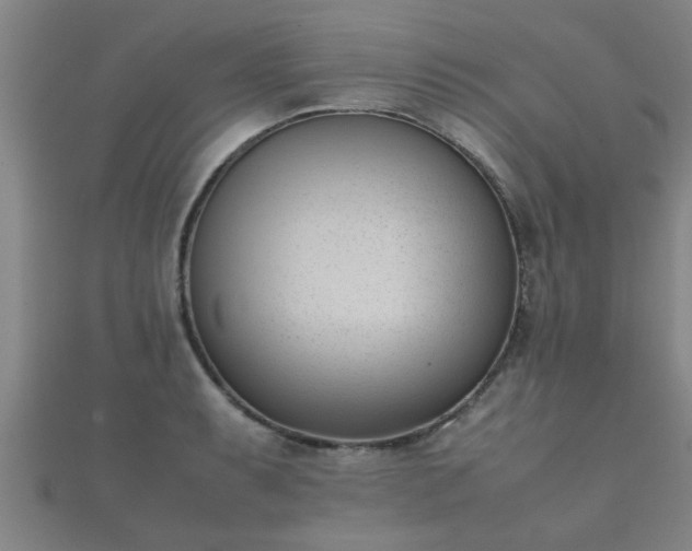 X0000112051087200908111344