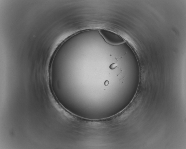 X0000112051088200908111344