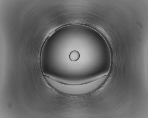 X0000112051089200908111344