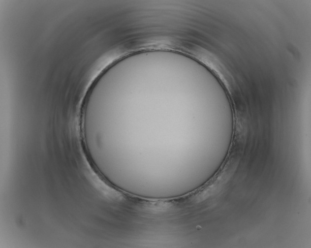 X0000112051090200908111344