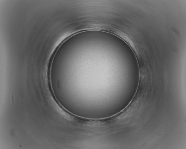 X0000112051091200908111344