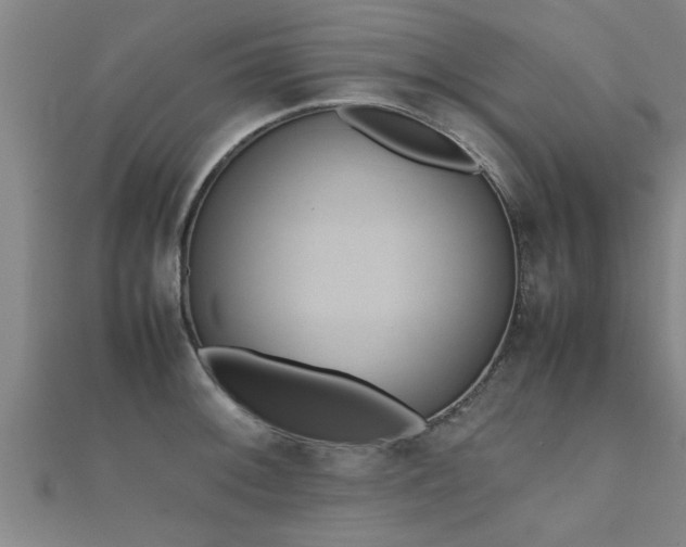 X0000112051092200908111344