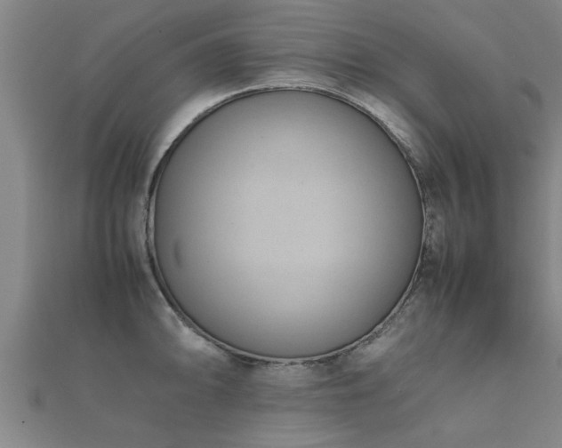 X0000112051094200908111344