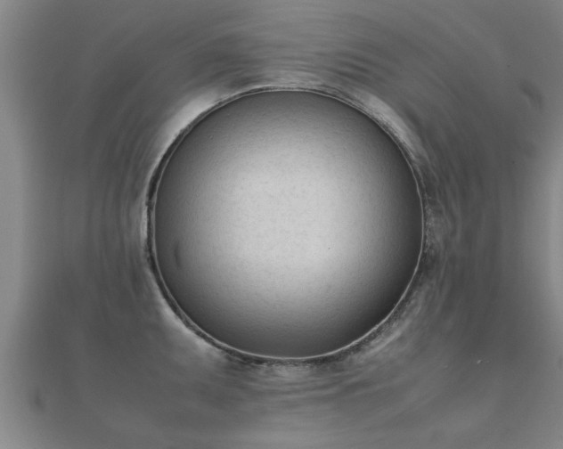 X0000112051095200908111344