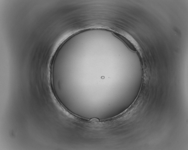 X0000112051096200908111344