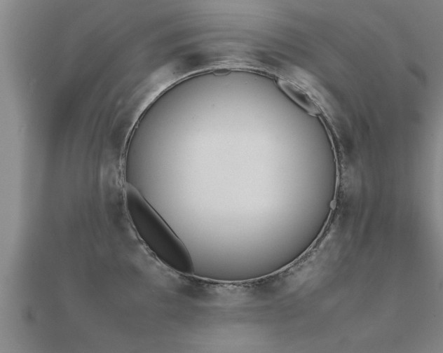 X0000112051097200908111344