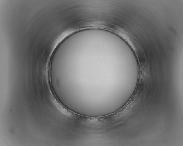 X0000112051098200908111344